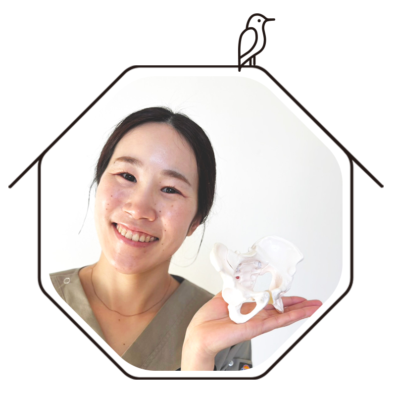 かくかくしかじかプロフィール