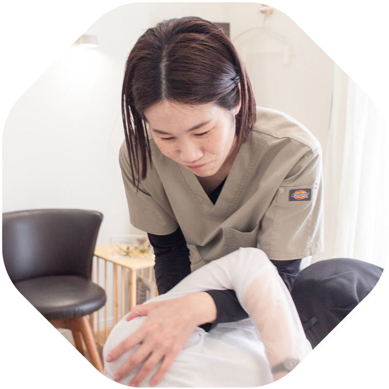 かくかくしかじかプロフィール経歴