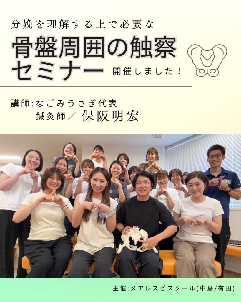 【セミナー参加報告】2026年8月9日分娩を理解する上で必要な骨盤周囲の触察セミナーにて学んできました！